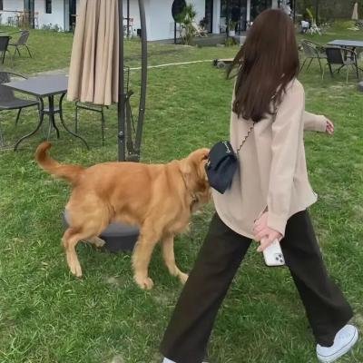 完美搭配